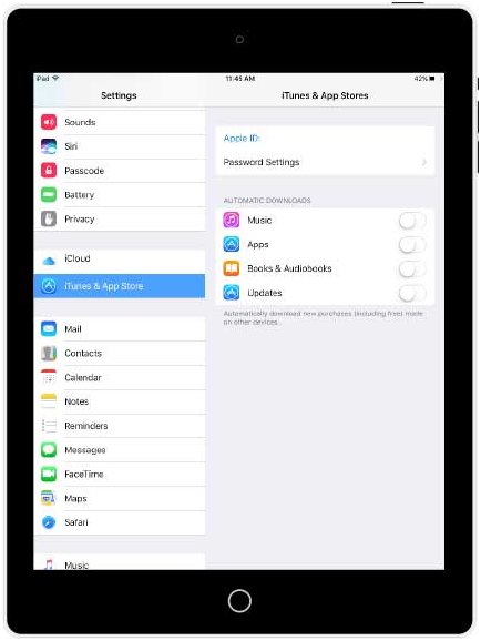 iOS update settings screenshot